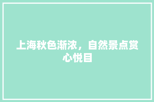 上海秋色渐浓，自然景点赏心悦目  第1张