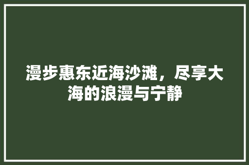 漫步惠东近海沙滩，尽享大海的浪漫与宁静