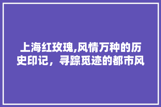 上海红玫瑰,风情万种的历史印记，寻踪觅迹的都市风情之旅