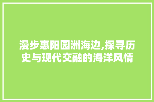 漫步惠阳园洲海边,探寻历史与现代交融的海洋风情