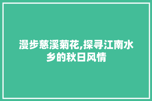 漫步慈溪菊花,探寻江南水乡的秋日风情