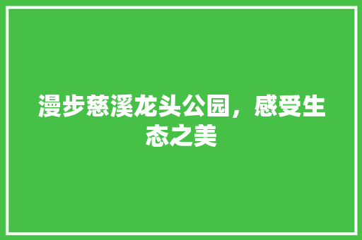 漫步慈溪龙头公园，感受生态之美