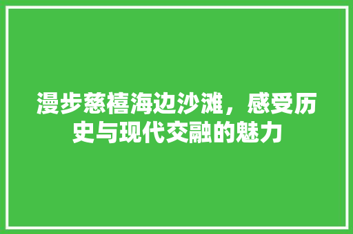 漫步慈禧海边沙滩，感受历史与现代交融的魅力