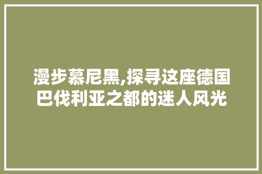 漫步慕尼黑,探寻这座德国巴伐利亚之都的迷人风光