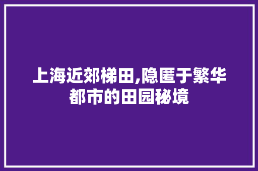 上海近郊梯田,隐匿于繁华都市的田园秘境