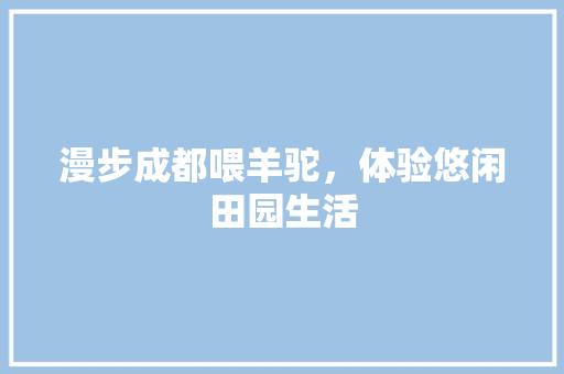 漫步成都喂羊驼，体验悠闲田园生活