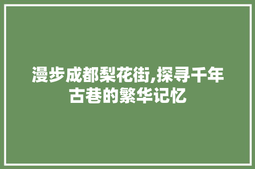 漫步成都梨花街,探寻千年古巷的繁华记忆