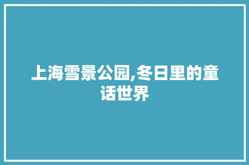 上海雪景公园,冬日里的童话世界