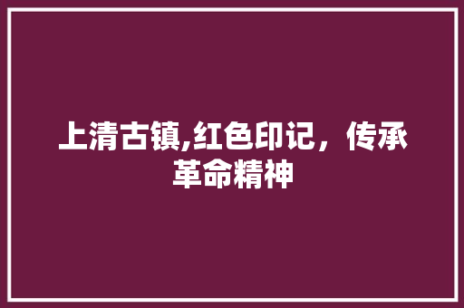 上清古镇,红色印记，传承革命精神