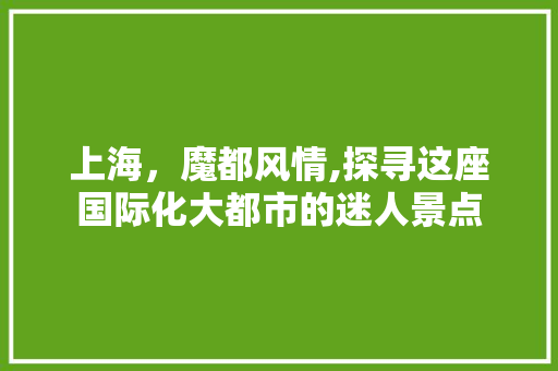 上海，魔都风情,探寻这座国际化大都市的迷人景点