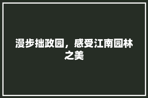 漫步拙政园，感受江南园林之美