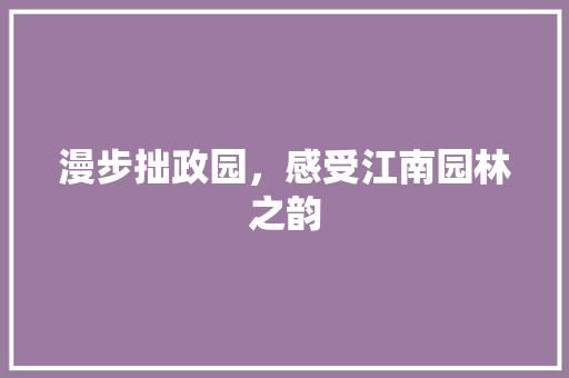 漫步拙政园，感受江南园林之韵