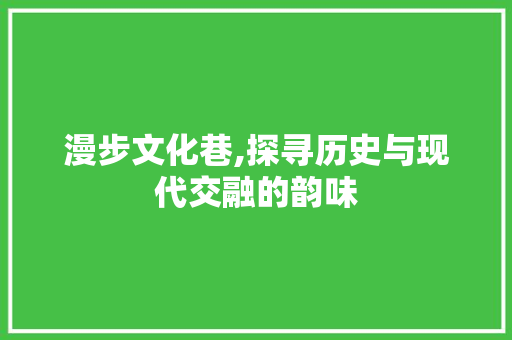 漫步文化巷,探寻历史与现代交融的韵味  第1张