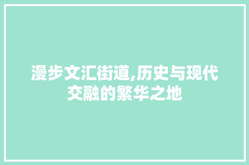 漫步文汇街道,历史与现代交融的繁华之地