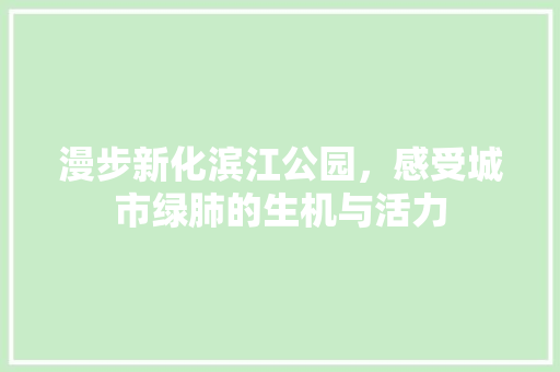 漫步新化滨江公园，感受城市绿肺的生机与活力