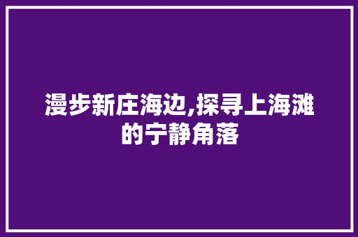 漫步新庄海边,探寻上海滩的宁静角落