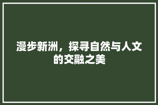 漫步新洲，探寻自然与人文的交融之美