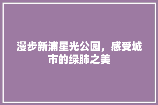 漫步新浦星光公园，感受城市的绿肺之美