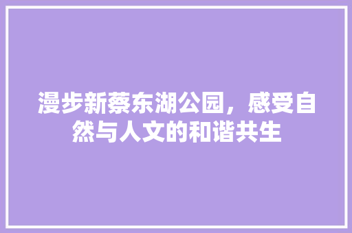 漫步新蔡东湖公园，感受自然与人文的和谐共生