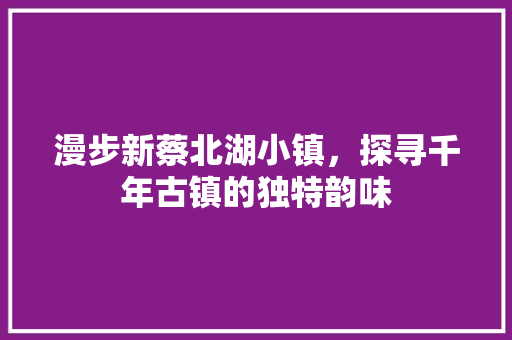 漫步新蔡北湖小镇，探寻千年古镇的独特韵味