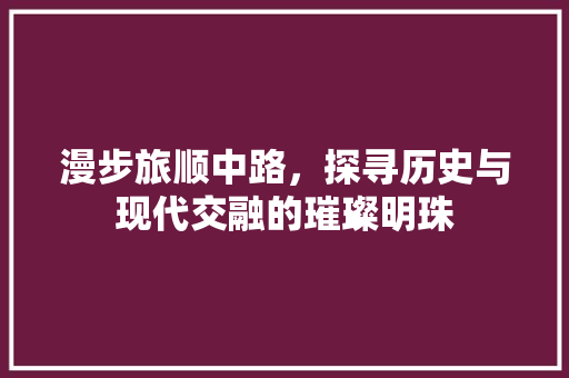 漫步旅顺中路，探寻历史与现代交融的璀璨明珠