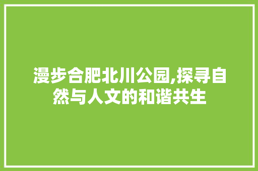 漫步合肥北川公园,探寻自然与人文的和谐共生