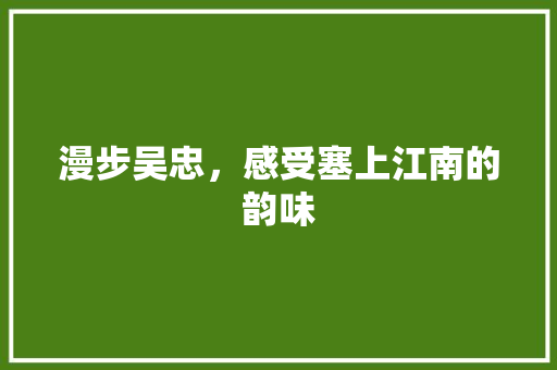 漫步吴忠，感受塞上江南的韵味