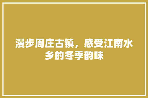 漫步周庄古镇，感受江南水乡的冬季韵味