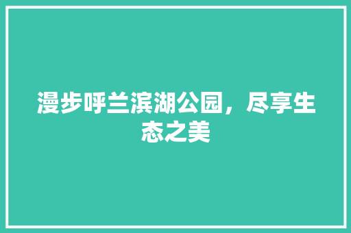 漫步呼兰滨湖公园，尽享生态之美