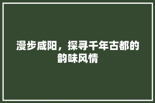 漫步咸阳，探寻千年古都的韵味风情