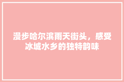 漫步哈尔滨雨天街头，感受冰城水乡的独特韵味