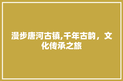 漫步唐河古镇,千年古韵，文化传承之旅  第1张