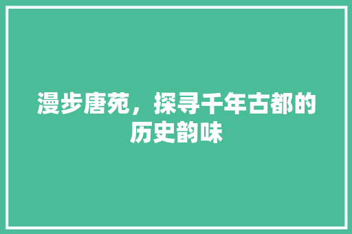 漫步唐苑，探寻千年古都的历史韵味  第1张