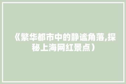 《繁华都市中的静谧角落,探秘上海网红景点）