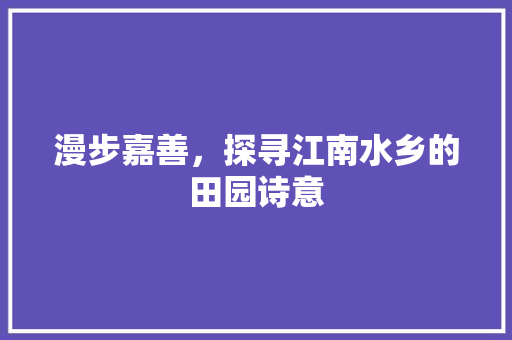 漫步嘉善，探寻江南水乡的田园诗意