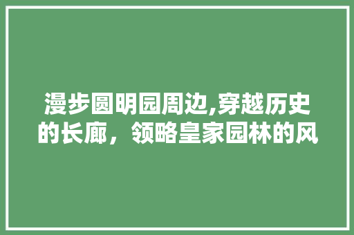 漫步圆明园周边,穿越历史的长廊，领略皇家园林的风采