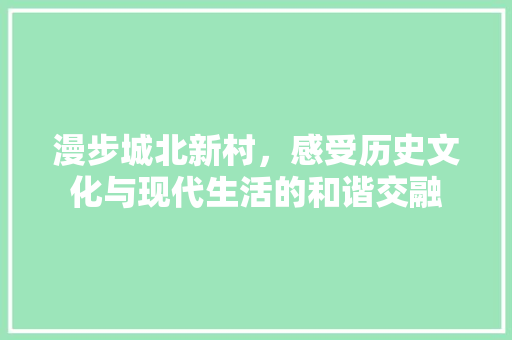 漫步城北新村，感受历史文化与现代生活的和谐交融