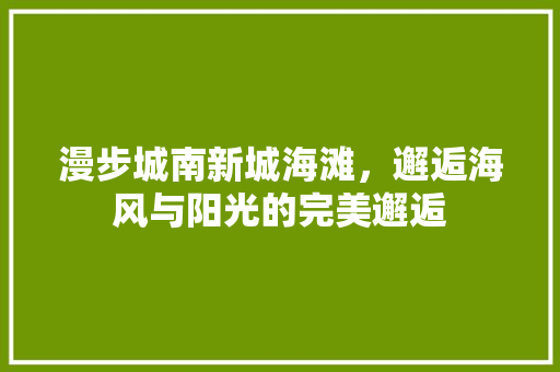 漫步城南新城海滩，邂逅海风与阳光的完美邂逅