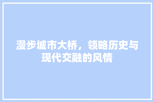 漫步城市大桥，领略历史与现代交融的风情