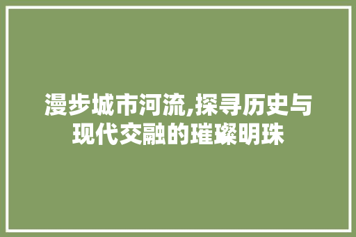 漫步城市河流,探寻历史与现代交融的璀璨明珠