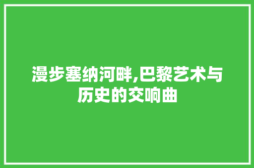 漫步塞纳河畔,巴黎艺术与历史的交响曲