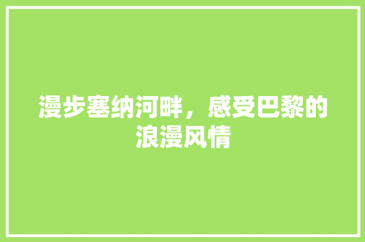 漫步塞纳河畔，感受巴黎的浪漫风情  第1张