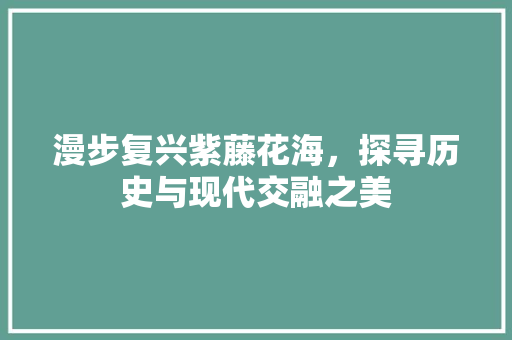 漫步复兴紫藤花海，探寻历史与现代交融之美