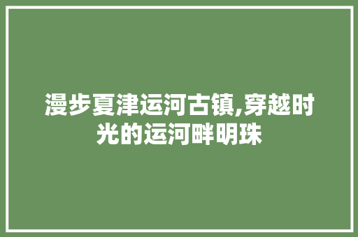 漫步夏津运河古镇,穿越时光的运河畔明珠