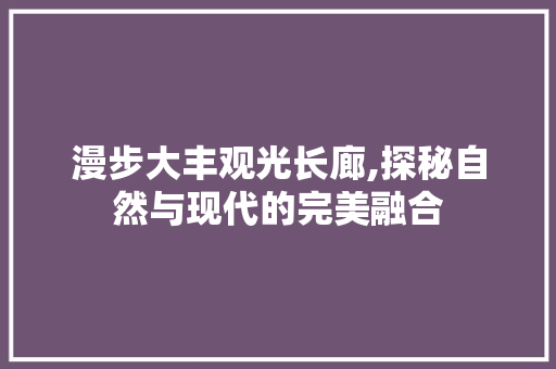 漫步大丰观光长廊,探秘自然与现代的完美融合