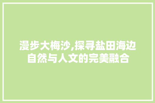 漫步大梅沙,探寻盐田海边自然与人文的完美融合  第1张