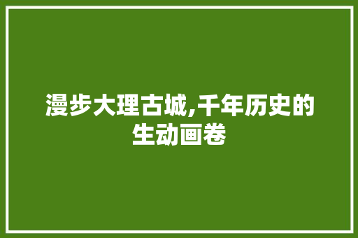 漫步大理古城,千年历史的生动画卷  第1张