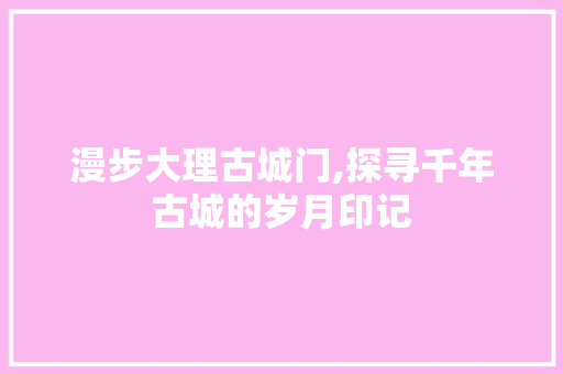 漫步大理古城门,探寻千年古城的岁月印记  第1张