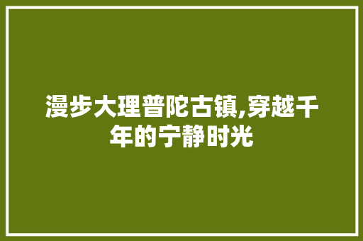 漫步大理普陀古镇,穿越千年的宁静时光  第1张