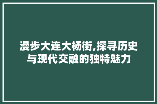 漫步大连大杨街,探寻历史与现代交融的独特魅力